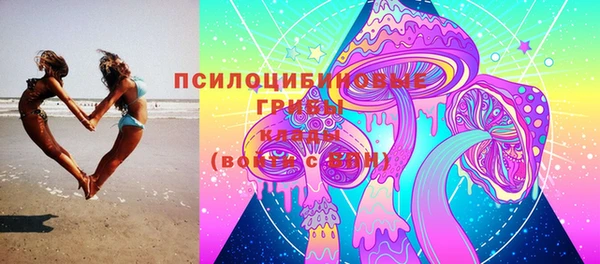 МДПВ Белокуриха