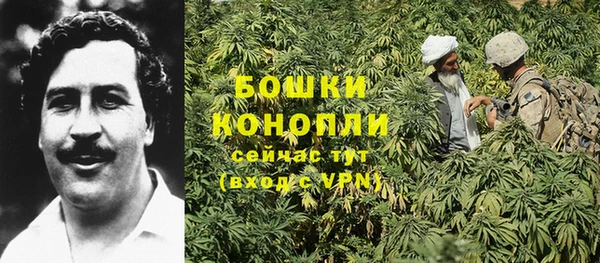 гашик Белоозёрский
