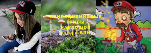 МДПВ Белокуриха